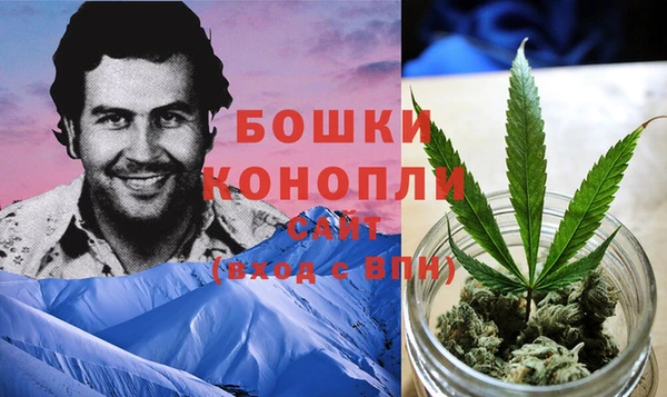 синтетический гашиш Заводоуковск