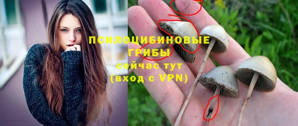 тгк Заволжск
