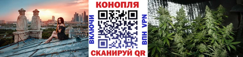 Шишки марихуана сатива  KRAKEN tor  Таруса 